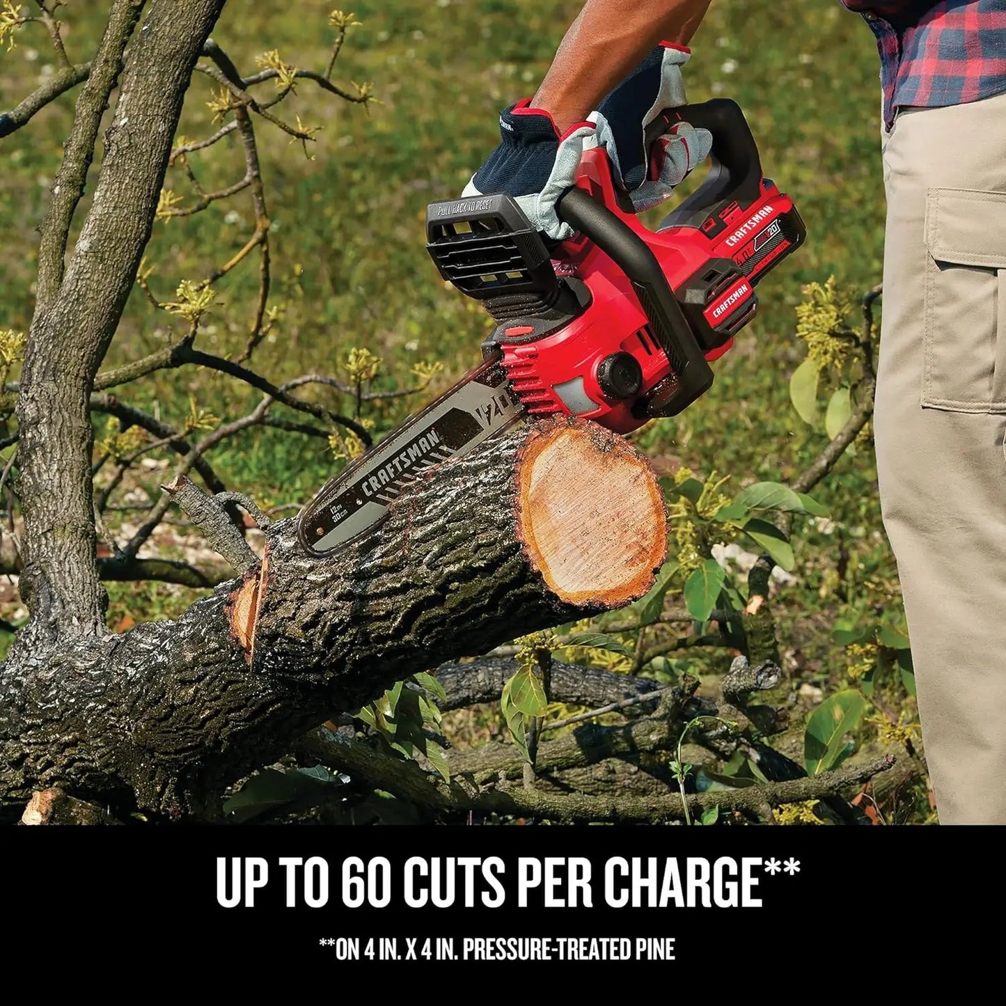 CRAFTSMAN V20 Mini Chainsaw, Cordless, 12 inch, Bare Tool Only (CMCCS620B)